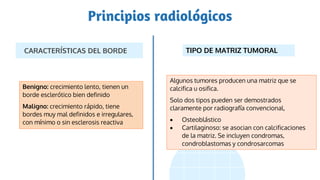 Principios radiológicos
CARACTERÍSTICAS DEL BORDE
Benigno: crecimiento lento, tienen un
borde esclerótico bien definido
Maligno: crecimiento rápido, tiene
bordes muy mal definidos e irregulares,
con mínimo o sin esclerosis reactiva
TIPO DE MATRIZ TUMORAL
Algunos tumores producen una matriz que se
calcifica u osifica.
Solo dos tipos pueden ser demostrados
claramente por radiografía convencional,
 Osteoblástico
 Cartilaginoso: se asocian con calcificaciones
de la matriz. Se incluyen condromas,
condroblastomas y condrosarcomas
 