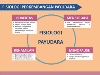 PUBERTAS MENSTRUASI
KEHAMILAN MENOPAUSE
FISIOLOGI
PAYUDARA
FISIOLOGI PERKEMBANGAN PAYUDARA
• Peningkatan jaringan kelenjar
• Deposit jaringan lemak
• Estrogen & Progesteron
meningkat memicu
perkembangan asinus dan
duktus
• Fase premenstruasi terjadi
pembesaran vascular &
perbesaran kelenjar
• Epitel duktus berproliferasi
• Sekresi hormon prolaktin
• Kolostrum dan sekresi susu
• Lobulus berinvolusi
• Jaringan lemak menggantikan
parenkim
 