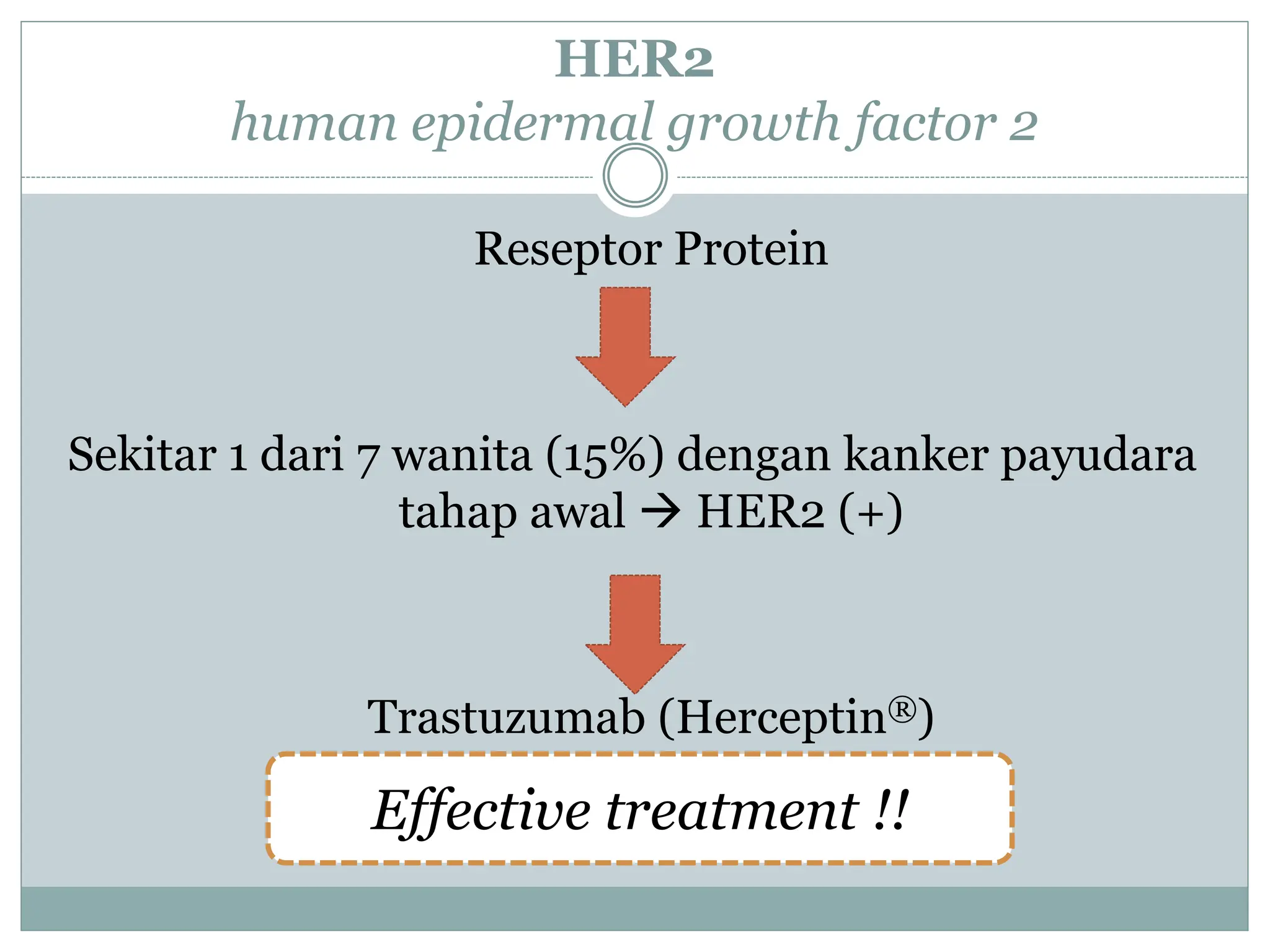 HER2
human epidermal growth factor 2
Reseptor Protein
Sekitar 1 dari 7 wanita (15%) dengan kanker payudara
tahap awal  HER2 (+)
Trastuzumab (Herceptin®)
Effective treatment !!
 