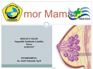 Tumor Mamae
DISUSUN OLEH
Sugandhi Junilando Limthin
Putra
112015327
PEMBIMBING
dr. Andri Suhandi, Sp.B
 