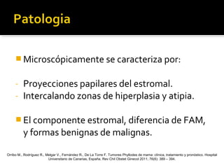  Microscópicamente se caracteriza por:
- Proyecciones papilares del estromal.
- Intercalando zonas de hiperplasia y atipia.
 El componente estromal, diferencia de FAM,
y formas benignas de malignas.
Orribo M., Rodríguez R., Melgar V., Fernández R., De La Torre F. Tumores Phyllodes de mama: clínica, tratamiento y pronóstico. Hospital
Universitario de Canarias, España. Rev Chil Obstet Ginecol 2011; 76(6): 389 – 394.
 
