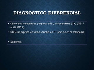 DIAGNOSTICO DIFERENCIAL
• Carcinoma metaplásico ( expresa p63 y citoqueratinas (CK) (AE1 /
3, CA1M5.2).
• CD34 se expresa de forma variable en PT pero no en el carcinoma
• Sarcomas.
 