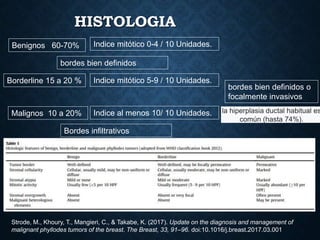 HISTOLOGIA
Indice mitótico 0-4 / 10 Unidades.Benignos 60-70%
Malignos 10 a 20% Indice al menos 10/ 10 Unidades.
bordes bien definidos o
focalmente invasivos
Indice mitótico 5-9 / 10 Unidades.Borderline 15 a 20 %
bordes bien definidos
Bordes infiltrativos
la hiperplasia ductal habitual es
común (hasta 74%).
Strode, M., Khoury, T., Mangieri, C., & Takabe, K. (2017). Update on the diagnosis and management of
malignant phyllodes tumors of the breast. The Breast, 33, 91–96. doi:10.1016/j.breast.2017.03.001
 
