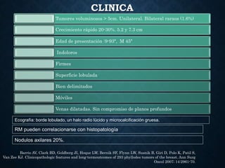 CLINICA
Tumores voluminosos > 5cm. Unilateral. Bilateral raraos (1.6%)
Crecimiento rápido 20-30%. 5.2 y 7.3 cm
Edad de presentación :9-93ª, M 45ª
Indoloros
Firmes
Superficie lobulada
Bien delimitados
Móviles
Venas dilatadas. Sin compromiso de planos profundos
Barrio AV, Clark BD, Goldberg JI, Hoque LW, Bernik SF, Flynn LW, Susnik B, Giri D, Polo K, Patil S,
Van Zee KJ. Clinicopathologic features and long-termoutcomes of 293 phyllodes tumors of the breast. Ann Surg
Oncol 2007; 14:2961-70.
Ecografía: borde lobulado, un halo radio lúcido y microcalcificación gruesa.
RM pueden correlacionarse con histopatología
Nodulos axilares 20%.
 