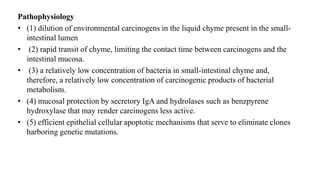 Pathophysiology
• (1) dilution of environmental carcinogens in the liquid chyme present in the small-
intestinal lumen
• (2) rapid transit of chyme, limiting the contact time between carcinogens and the
intestinal mucosa.
• (3) a relatively low concentration of bacteria in small-intestinal chyme and,
therefore, a relatively low concentration of carcinogenic products of bacterial
metabolism.
• (4) mucosal protection by secretory IgA and hydrolases such as benzpyrene
hydroxylase that may render carcinogens less active.
• (5) efficient epithelial cellular apoptotic mechanisms that serve to eliminate clones
harboring genetic mutations.
 
