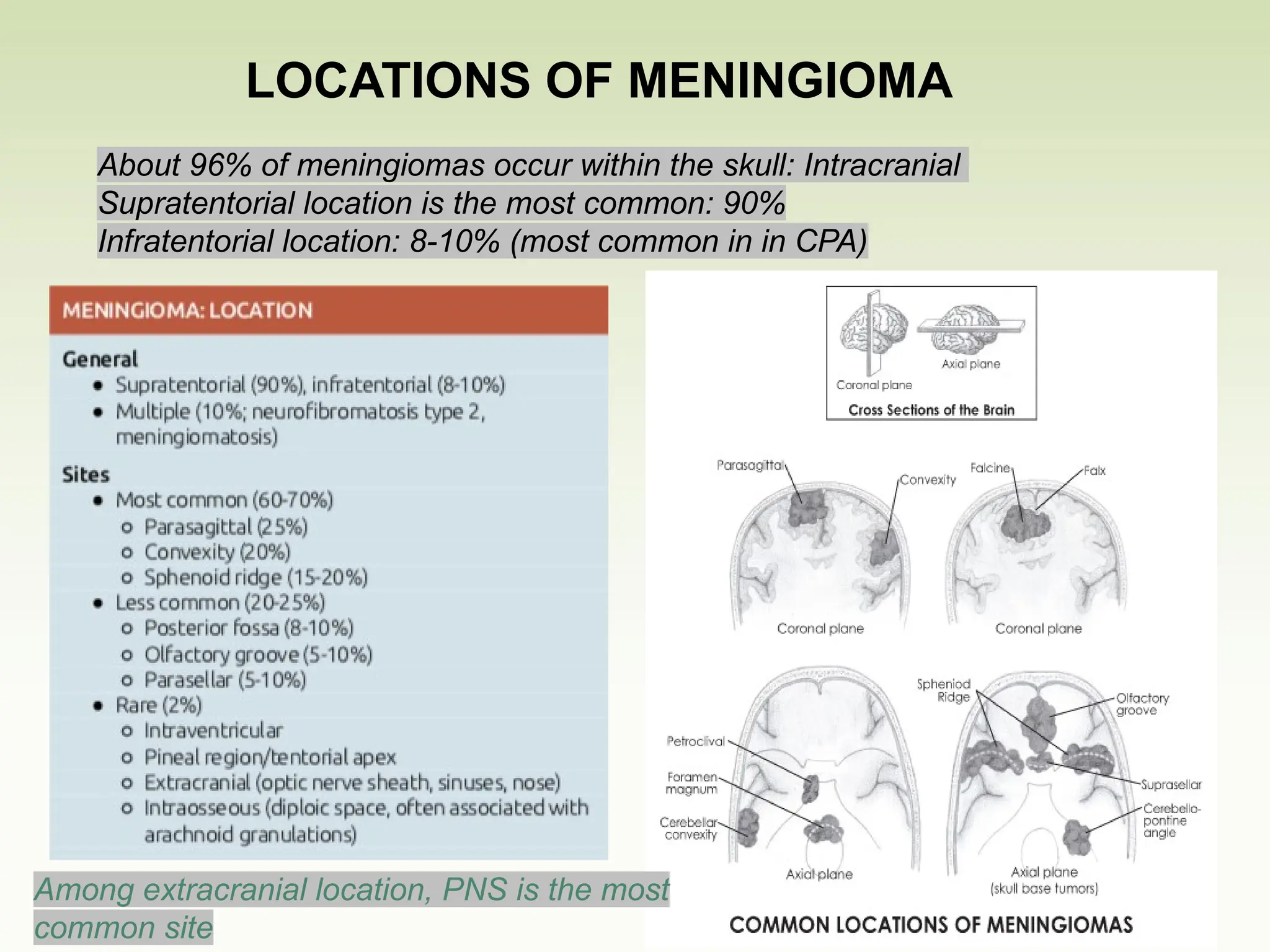 About 96% of meningiomas occur within the skull: Intracranial
Supratentorial location is the most common: 90%
Infratentorial location: 8-10% (most common in in CPA)
LOCATIONS OF MENINGIOMA
Among extracranial location, PNS is the most
common site
 