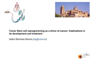 Tumor Stem cell reprogramming as a driver of cancer: Implications in
its development and treatment
Isidro Sánchez-García (isg@usal.es)
 