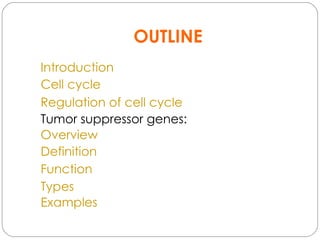 Tumor suppressor gene | PPT