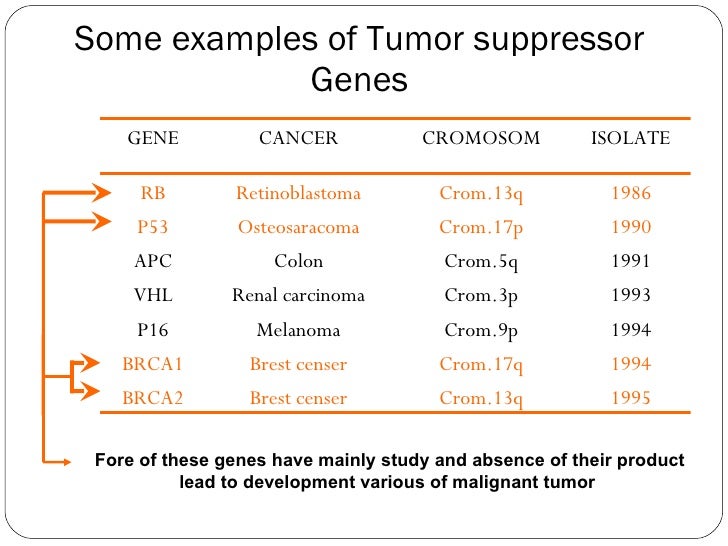 tumor suppressor genes rome fontanacountryinn com tumor suppressor genes