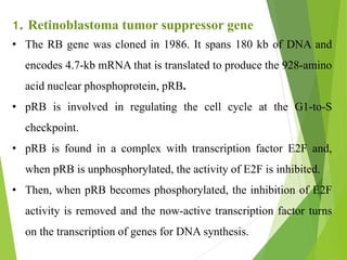 Tumor suppressor gene | PPTX
