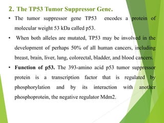 Tumor suppressor gene | PPTX