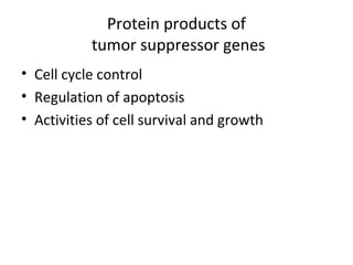 Protein products of
tumor suppressor genes
• Cell cycle control
• Regulation of apoptosis
• Activities of cell survival and growth
 