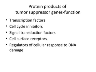 Protein products of
tumor suppressor genes-function
• Transcription factors
• Cell cycle inhibitors
• Signal transduction factors
• Cell surface receptors
• Regulators of cellular response to DNA
damage
 