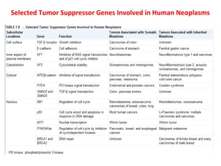 Selected Tumor Suppressor Genes Involved in Human Neoplasms
 
