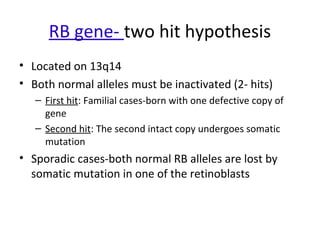 RB gene- two hit hypothesis
• Located on 13q14
• Both normal alleles must be inactivated (2- hits)
– First hit: Familial cases-born with one defective copy of
gene
– Second hit: The second intact copy undergoes somatic
mutation
• Sporadic cases-both normal RB alleles are lost by
somatic mutation in one of the retinoblasts
 