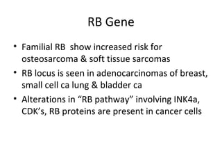 RB Gene
• Familial RB show increased risk for
osteosarcoma & soft tissue sarcomas
• RB locus is seen in adenocarcinomas of breast,
small cell ca lung & bladder ca
• Alterations in “RB pathway” involving INK4a,
CDK’s, RB proteins are present in cancer cells
 