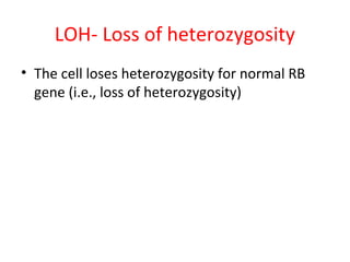 LOH- Loss of heterozygosity
• The cell loses heterozygosity for normal RB
gene (i.e., loss of heterozygosity)
 