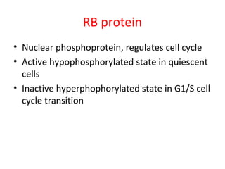 RB protein
• Nuclear phosphoprotein, regulates cell cycle
• Active hypophosphorylated state in quiescent
cells
• Inactive hyperphophorylated state in G1/S cell
cycle transition
 