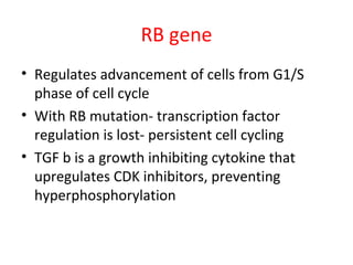 RB gene
• Regulates advancement of cells from G1/S
phase of cell cycle
• With RB mutation- transcription factor
regulation is lost- persistent cell cycling
• TGF b is a growth inhibiting cytokine that
upregulates CDK inhibitors, preventing
hyperphosphorylation
 