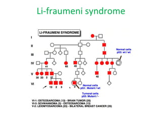 Li-fraumeni syndrome
 