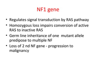NF1 gene
• Regulates signal transduction by RAS pathway
• Homozygous loss impairs conversion of active
RAS to inactive RAS
• Germ line inheritance of one mutant allele
predipose to multiple NF
• Loss of 2 nd NF gene - progression to
malignancy
 