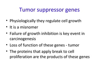 Tumor suppressor genes
• Physiologically they regulate cell growth
• It is a misnomer
• Failure of growth inhibition is key event in
carcinogenesis
• Loss of function of these genes - tumor
• The proteins that apply break to cell
proliferation are the products of these genes
 