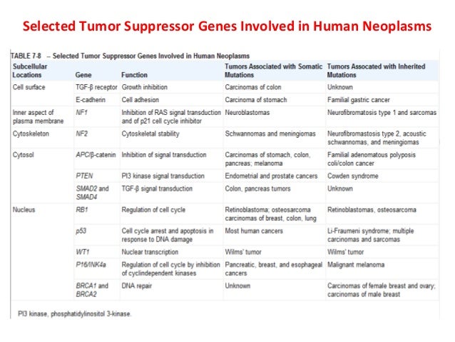tumor suppressorgenes tumor suppressor genes
