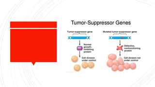 Tumor suppressor genes | PPTX