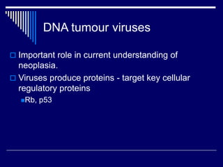 DNA tumour viruses
 Important role in current understanding of
neoplasia.
 Viruses produce proteins - target key cellular
regulatory proteins
Rb, p53
 