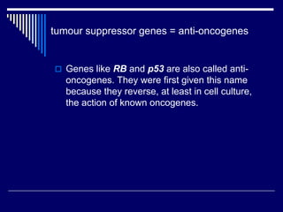 tumour suppressor genes = anti-oncogenes
 Genes like RB and p53 are also called anti-
oncogenes. They were first given this name
because they reverse, at least in cell culture,
the action of known oncogenes.
 