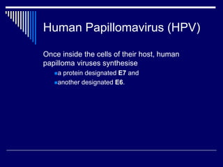 Human Papillomavirus (HPV)
Once inside the cells of their host, human
papilloma viruses synthesise
a protein designated E7 and
another designated E6.
 