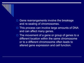  Gene rearrangements involve the breakage
and re-sealing of chromosomes.
 This process can involve large amounts of DNA
and can affect many genes.
 The movement of a gene or group of genes to a
different location within the same chromosome
or to a different chromosome often leads to
altered gene expression and cell function.
 
