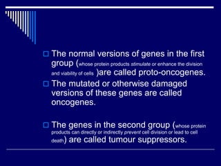  The normal versions of genes in the first
group (whose protein products stimulate or enhance the division
and viability of cells )are called proto-oncogenes.
 The mutated or otherwise damaged
versions of these genes are called
oncogenes.
 The genes in the second group (whose protein
products can directly or indirectly prevent cell division or lead to cell
death) are called tumour suppressors.
 