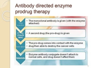 Antibody directed enzyme
prodrug therapy
12
 