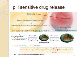 pH sensitive drug release
14
 