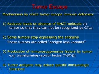 Tumor EscapeTumor Escape
Mechanisms by which tumor escape immune defenses:Mechanisms by which tumor escape immune defenses:
1) Reduced levels or absence of MHCI molecule1) Reduced levels or absence of MHCI molecule onon
tumor so that they can not be recognized by CTLstumor so that they can not be recognized by CTLs
2) Some tumors stop expressing the antigens2) Some tumors stop expressing the antigens
These tumors are called “antigen loss variants”These tumors are called “antigen loss variants”
3) Production of immunosuppressive factors by tumor3) Production of immunosuppressive factors by tumor
e.g. transforming growth factor (TGF-e.g. transforming growth factor (TGF-ββ))
4) Tumor antigens may induce specific immunologic4) Tumor antigens may induce specific immunologic
tolerancetolerance
 