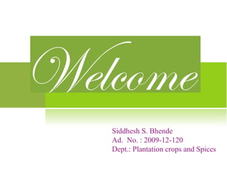 Siddhesh S. Bhende
Ad. No. : 2009-12-120
Dept.: Plantation crops and Spices
 
