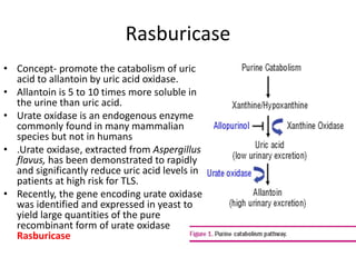 Rasburicase
• Concept- promote the catabolism of uric
acid to allantoin by uric acid oxidase.
• Allantoin is 5 to 10 times more soluble in
the urine than uric acid.
• Urate oxidase is an endogenous enzyme
commonly found in many mammalian
species but not in humans
• .Urate oxidase, extracted from Aspergillus
flavus, has been demonstrated to rapidly
and significantly reduce uric acid levels in
patients at high risk for TLS.
• Recently, the gene encoding urate oxidase
was identified and expressed in yeast to
yield large quantities of the pure
recombinant form of urate oxidase
Rasburicase
 