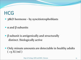 HCG
 38kD hormone - by syncitiotrophoblasts
 α and β subunits
 β subunit is antigenically and structurally
distinct /biologically active
 Only minute amounts are detectable in healthy adults
( <5 IU/ml )
23
Dept of Urology, GRH and KMC, Chennai.
 
