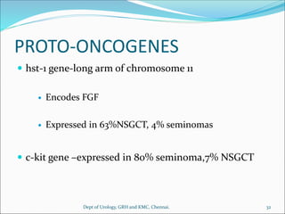 PROTO-ONCOGENES
 hst-1 gene-long arm of chromosome 11
 Encodes FGF
 Expressed in 63%NSGCT, 4% seminomas
 c-kit gene –expressed in 80% seminoma,7% NSGCT
32
Dept of Urology, GRH and KMC, Chennai.
 