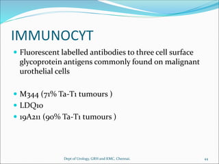 IMMUNOCYT
 Fluorescent labelled antibodies to three cell surface
glycoprotein antigens commonly found on malignant
urothelial cells
 M344 (71% Ta-T1 tumours )
 LDQ10
 19A211 (90% Ta-T1 tumours )
44
Dept of Urology, GRH and KMC, Chennai.
 