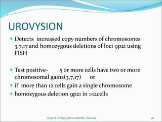 UROVYSION
 Detects increased copy numbers of chromosomes
3,7,17 and homozygous deletions of loci 9p21 using
FISH
 Test positive- 5 or more cells have two or more
chromosomal gains(3,7,17) or
 if more than 12 cells gain a single chromosome
 homozygous deletion 9p21 in >12cells
48
Dept of Urology, GRH and KMC, Chennai.
 