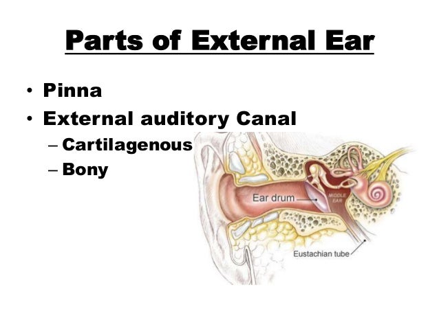 Tumours of Ear