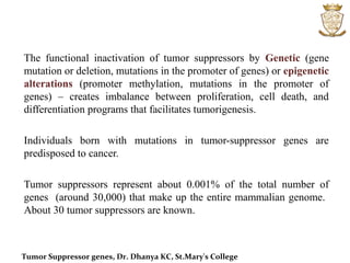 Microbiology:Tumor Suppressor Genes | PPT
