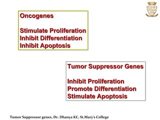 Microbiology:Tumor Suppressor Genes | PPT