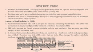 Tumour targeting and brain specific drug delivery