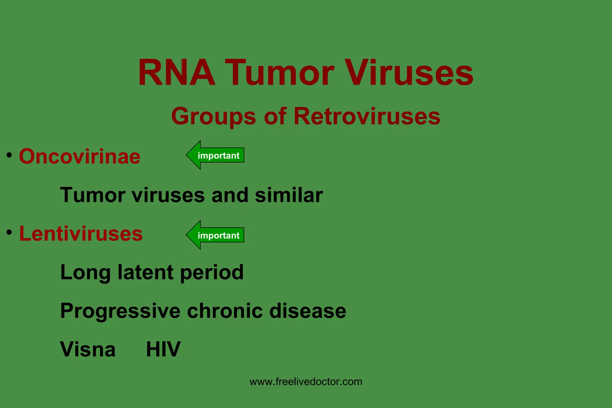 DNA Tumor Viruses 第二版 Part 2 DNA Tumor Virus - an overview