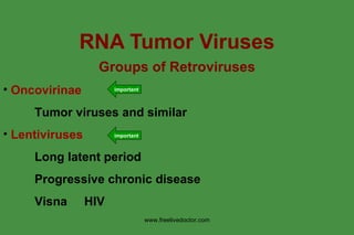 Tumour Viruses | PPT