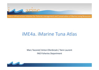 iME4a. iMarine Tuna AtlasiME4a. iMarine Tuna Atlas
Marc Taconet/ Anton Ellenbroek / Yann Laurent
FAO Fisheries Department
 