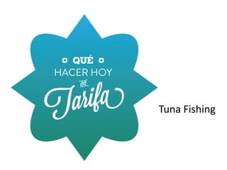 Tuna Fishing
 